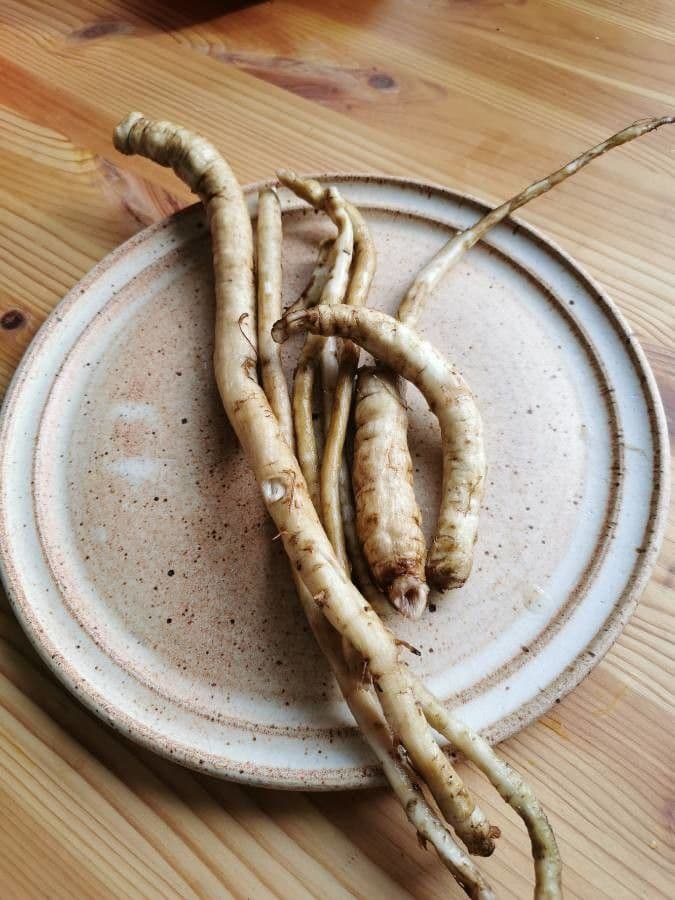 Große Klette 27