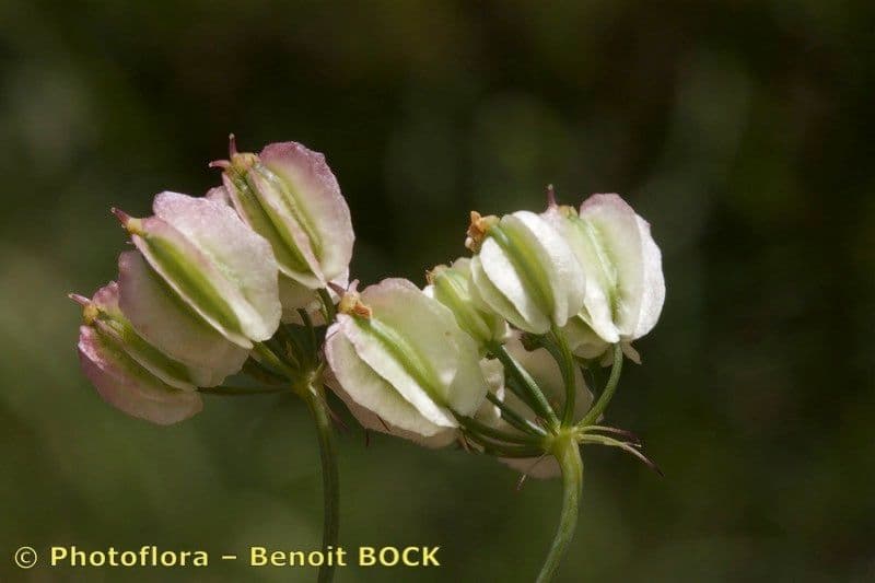Buvik 3