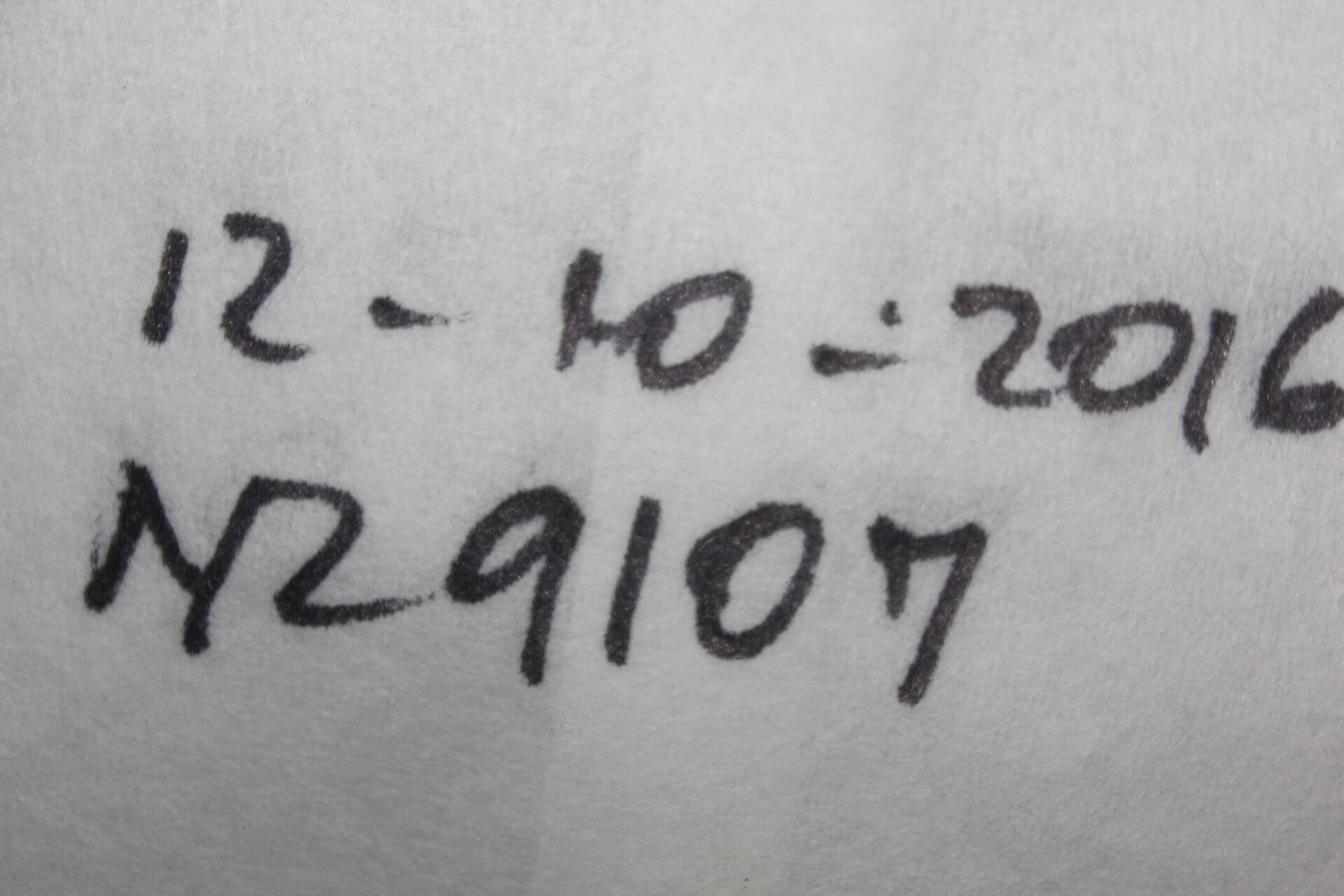 Sorocea 14