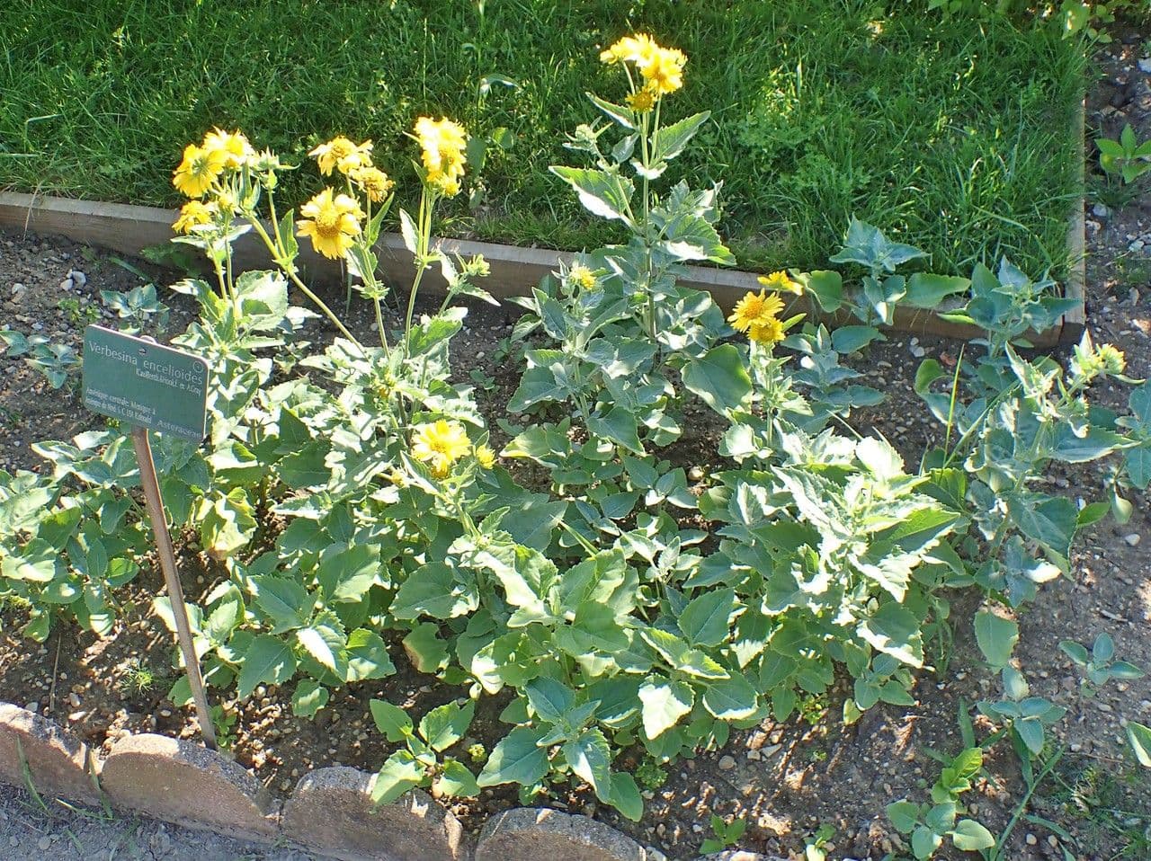 Sonnenwende 10
