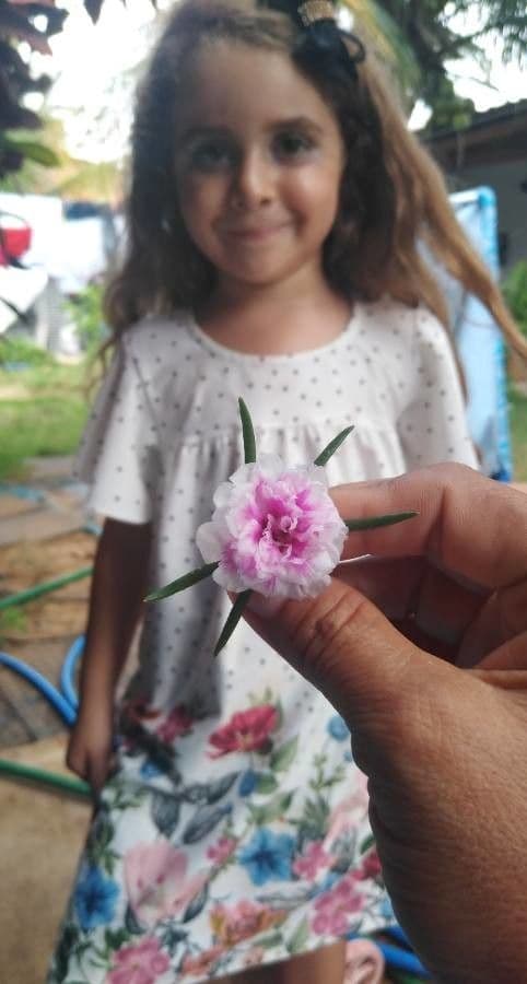 Flor de once horas 6