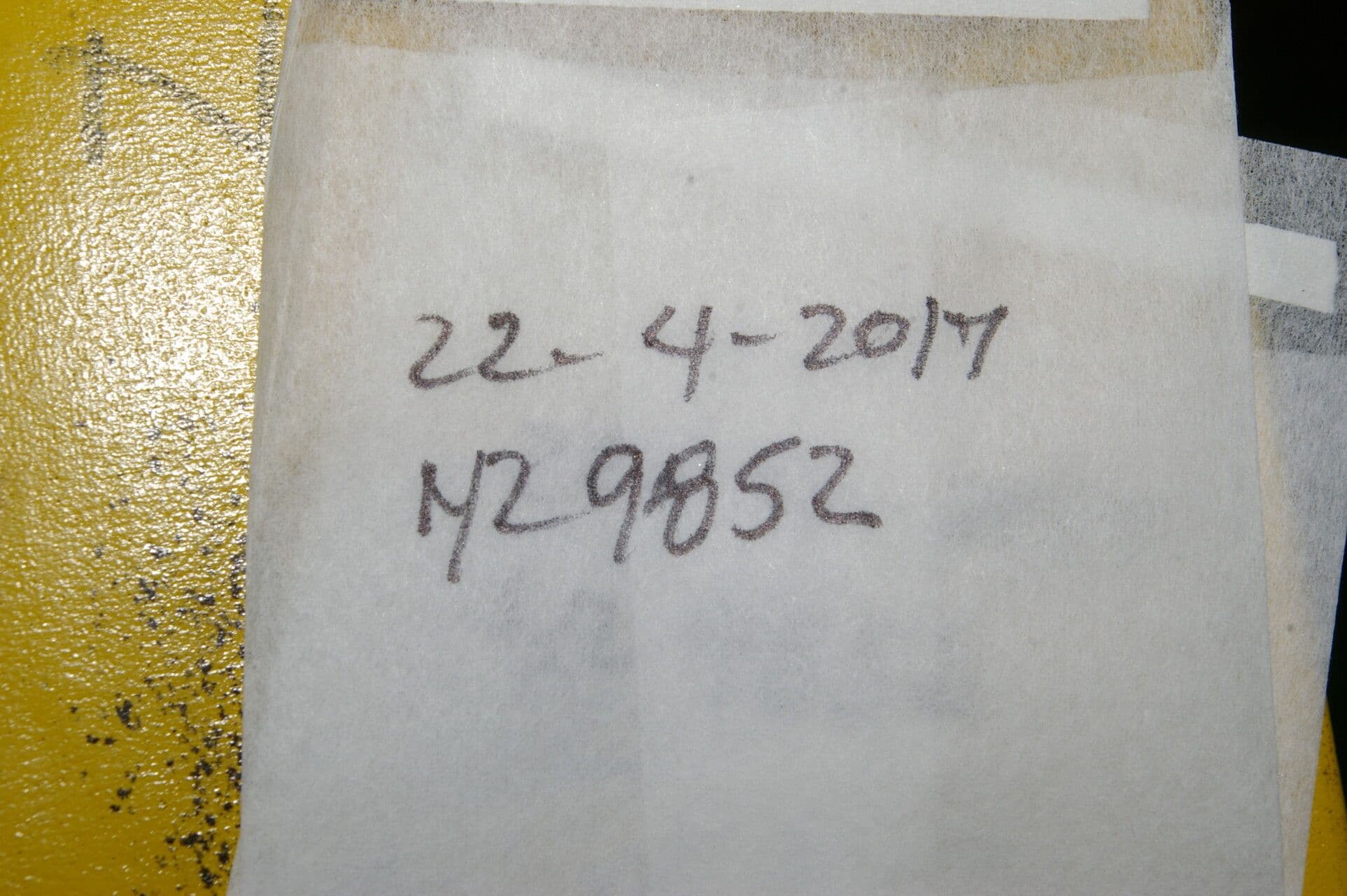 Psychotria 20