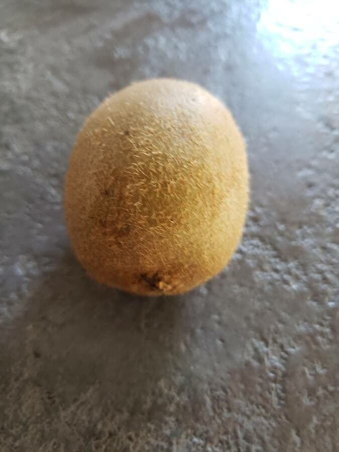 Kiwi dorato 3