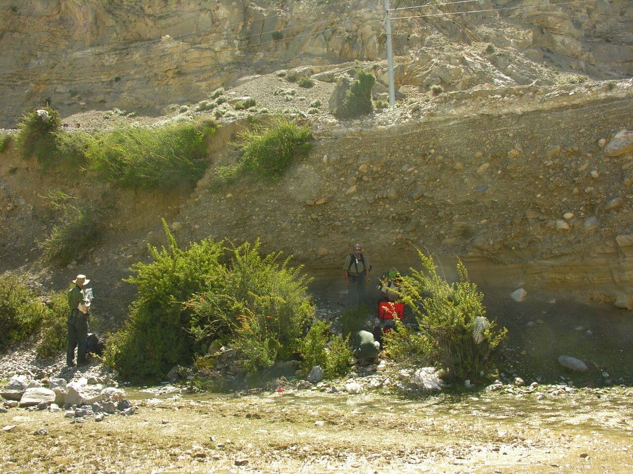 Berberitze 5