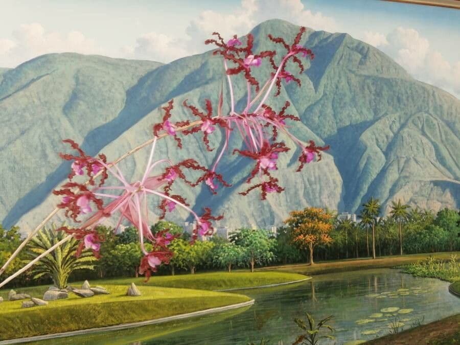 Laelia