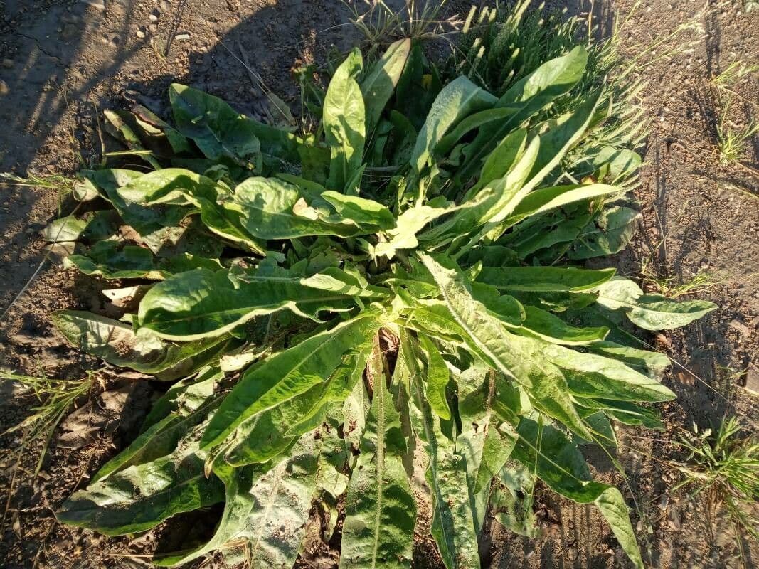 B turnaj 30
