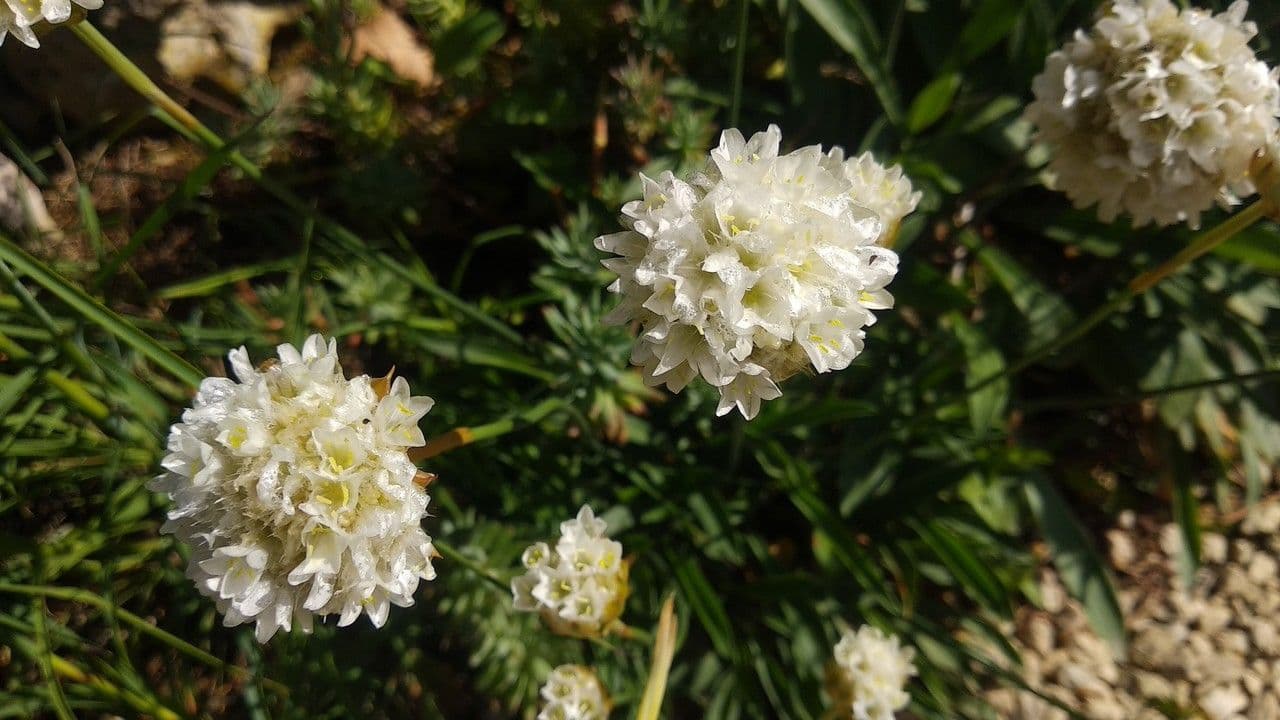 Arpenterre 3