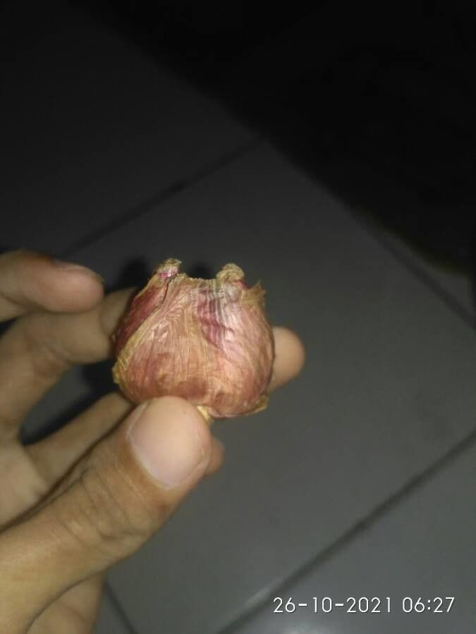 Aglio