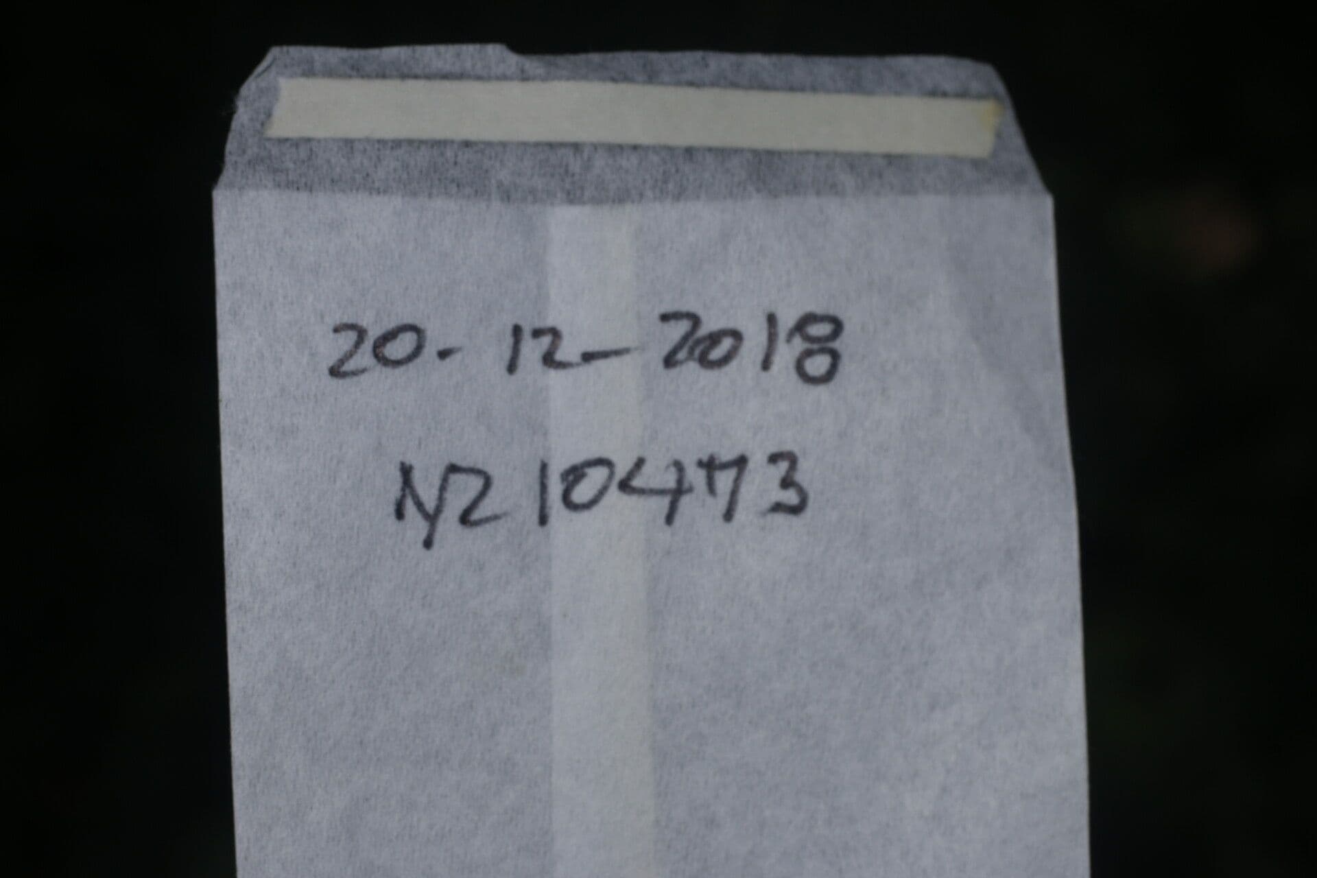 Ocotea 13