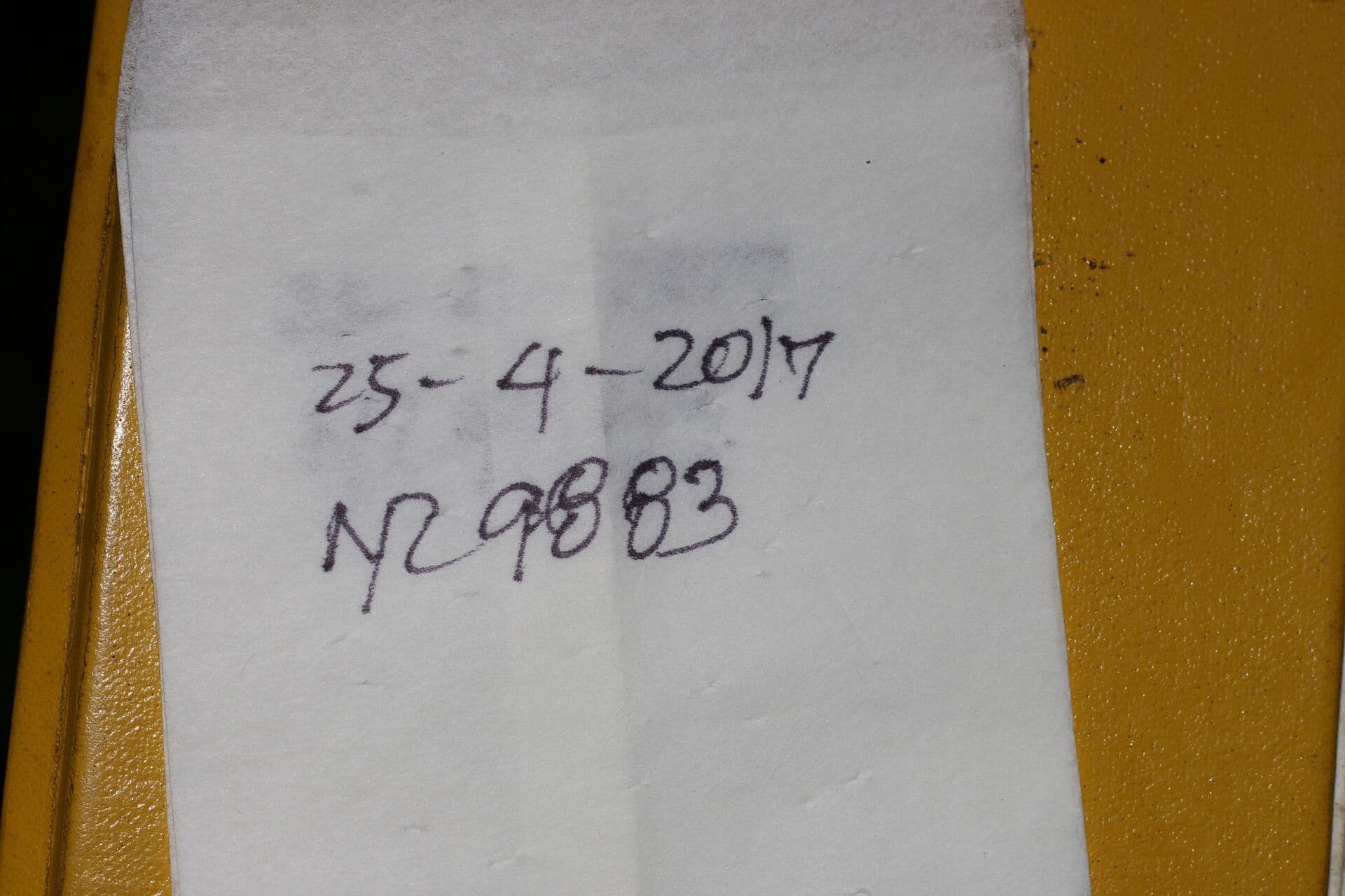 Psychotria 15