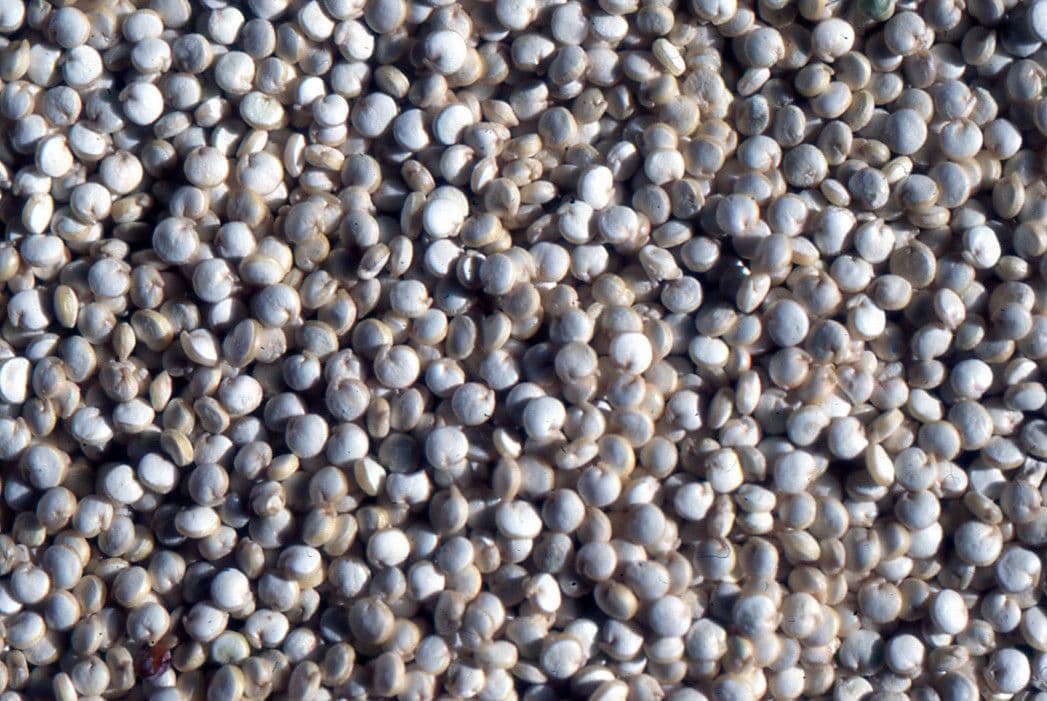 Quinoa 3