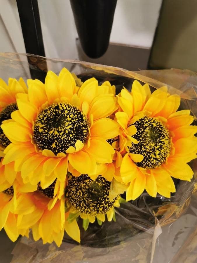 Tournesol géant 3