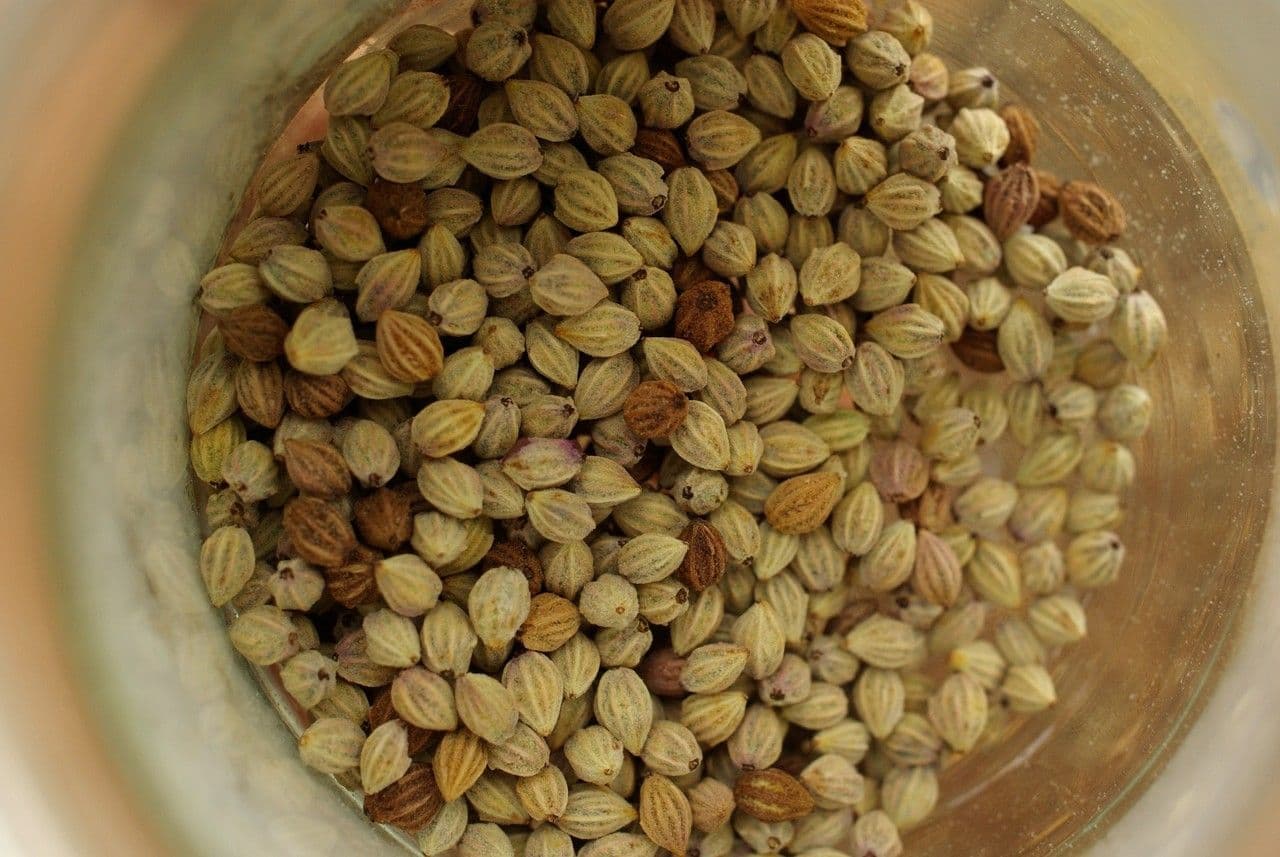 Canacomyrica 2