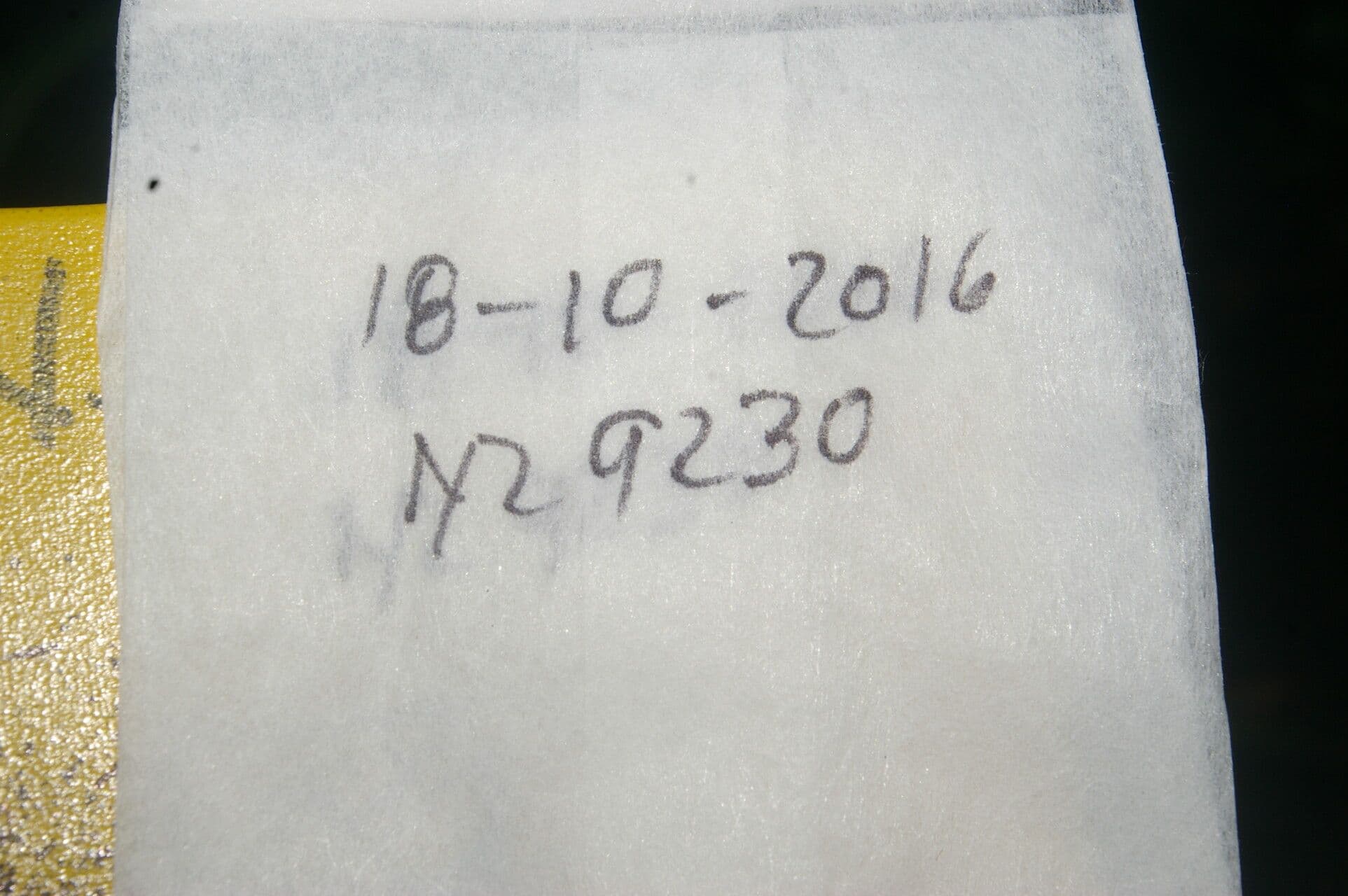 Xylosma 11