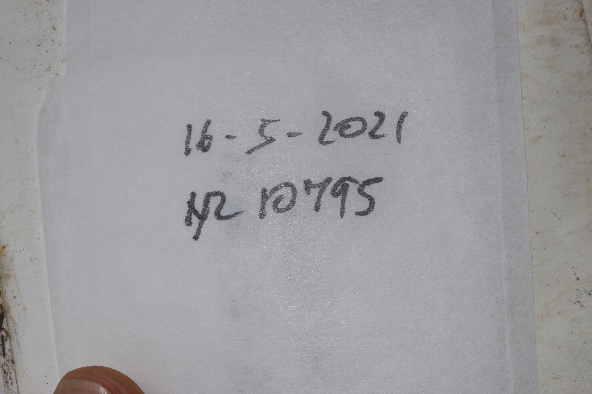 Lonchocarpus 11