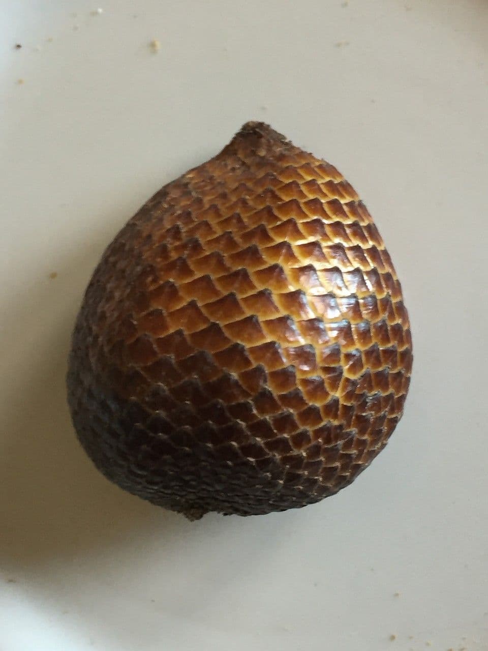 Salak 17