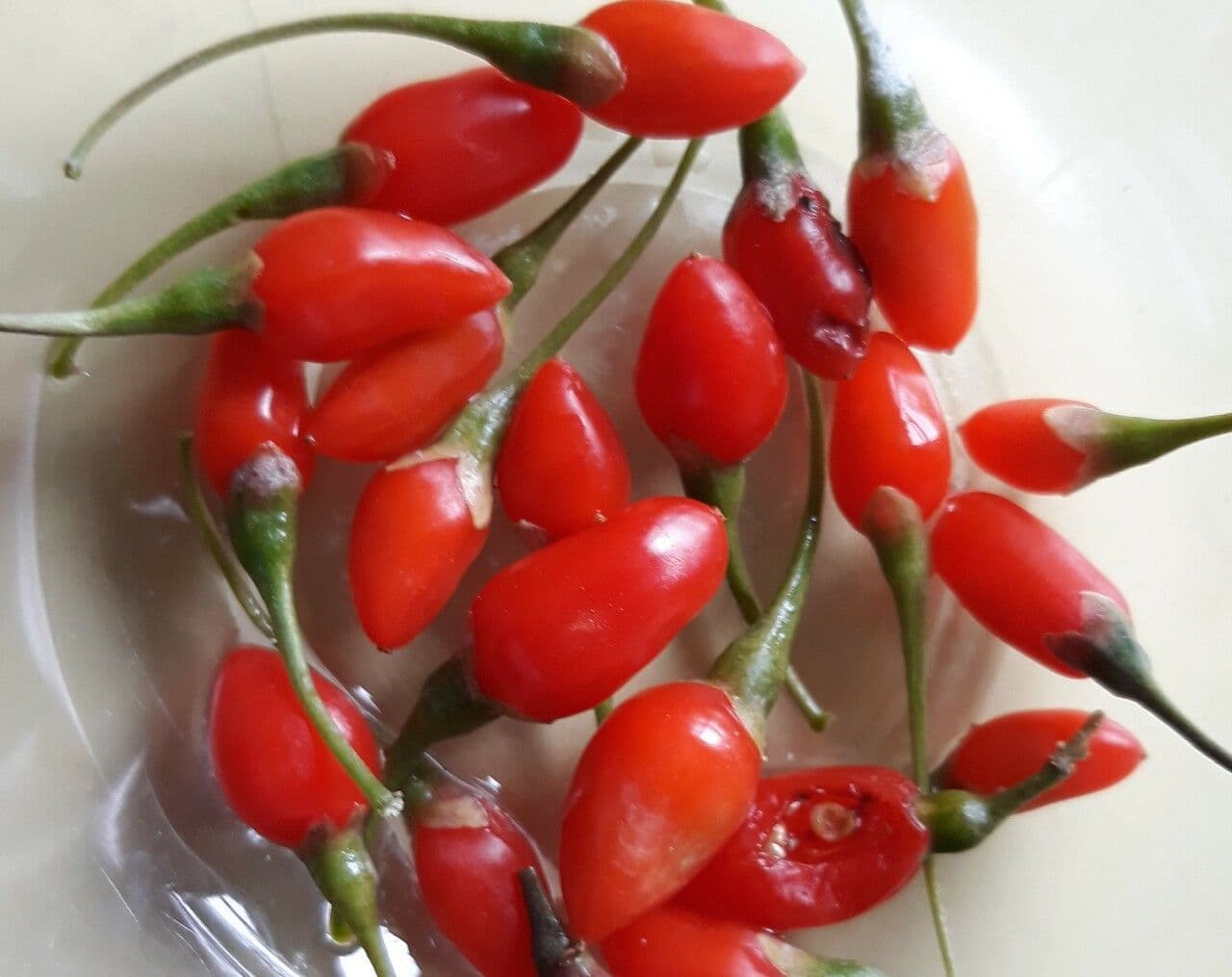 Goji 3
