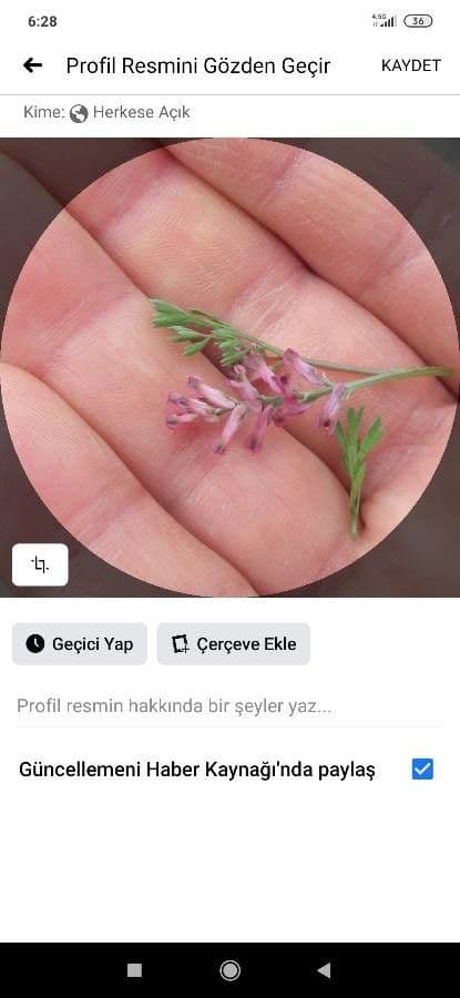 Udatník 23