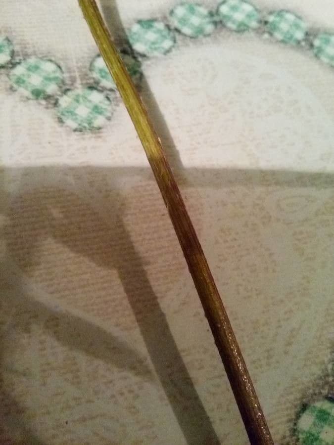 Cardo eterofillo 24