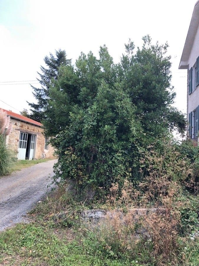 Laurel 13