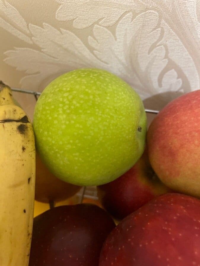 Arnold's apple 2