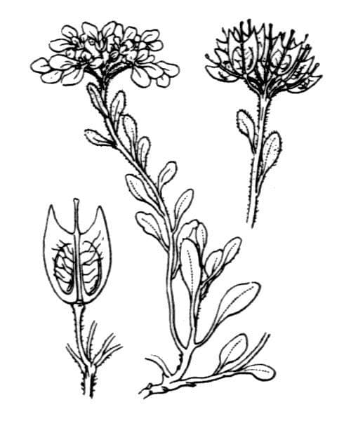 Ubiorek 18