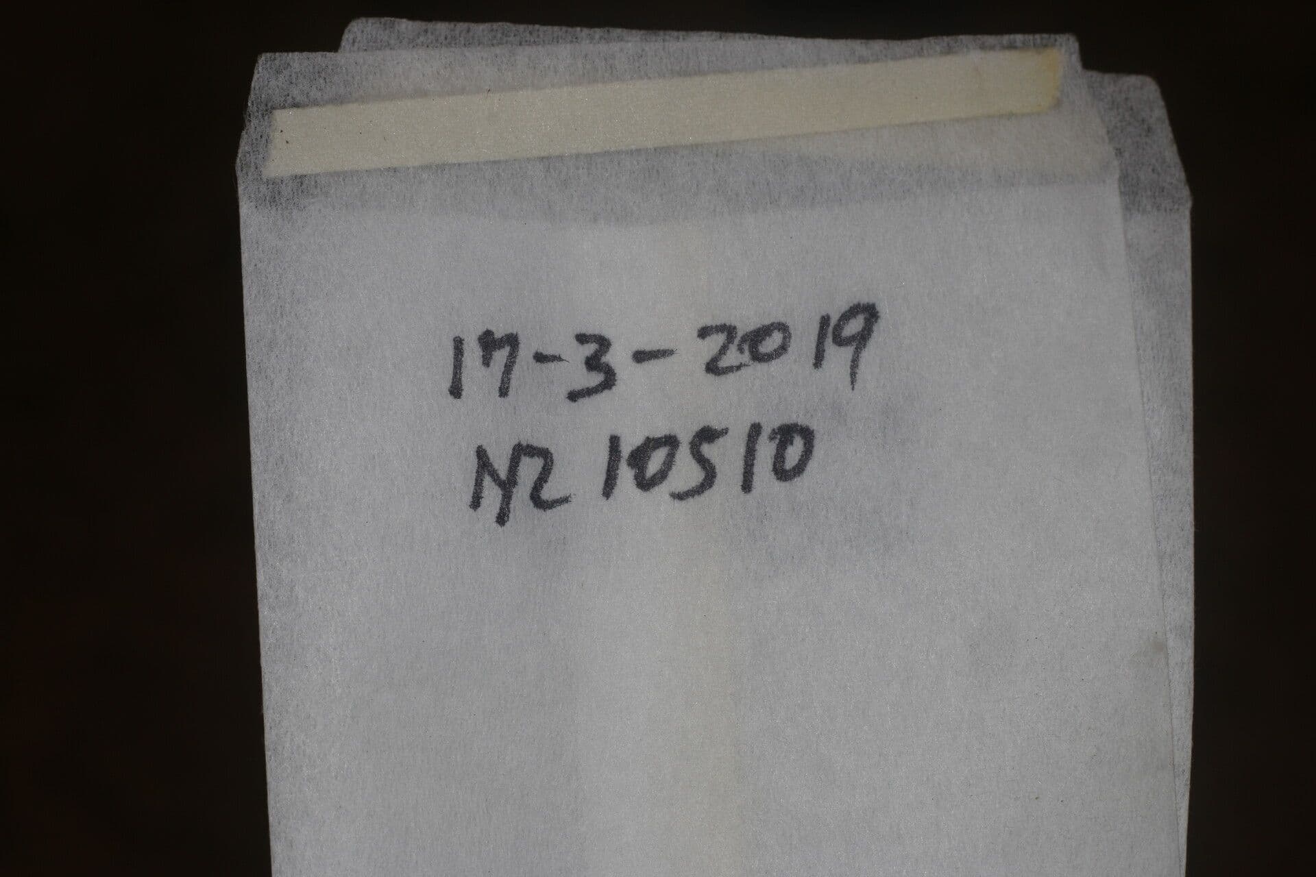Alchorneopsis 10