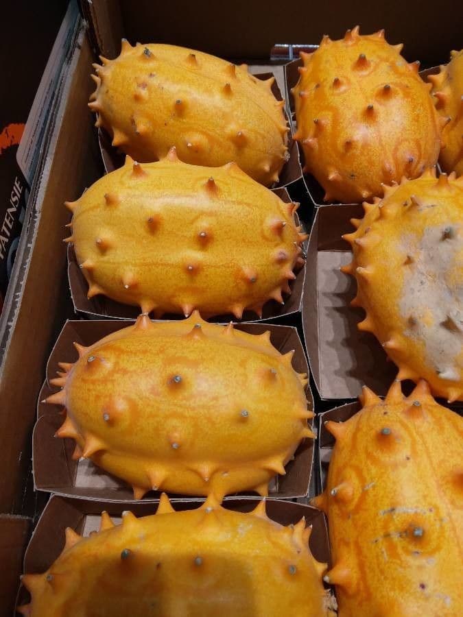 Melone cornut 3