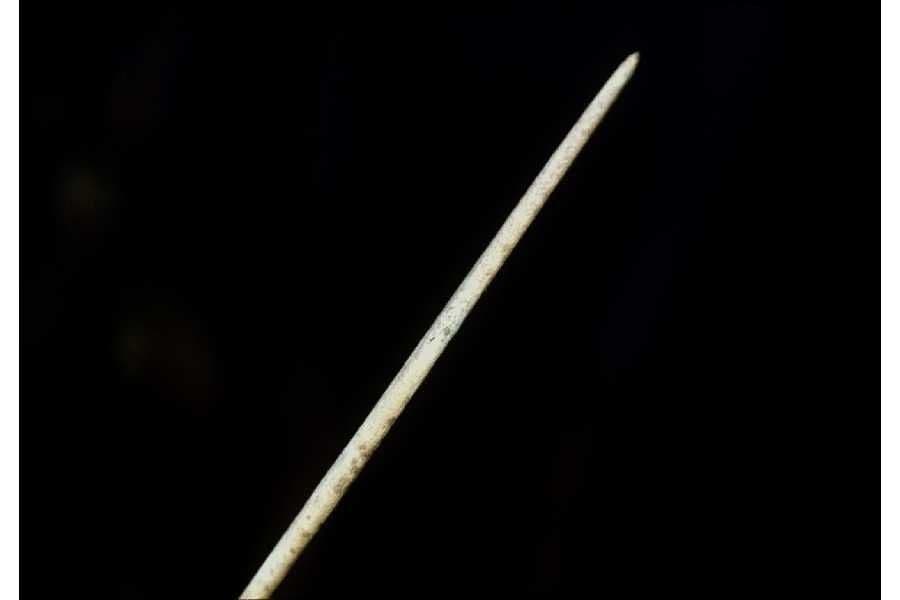 Nadellauch