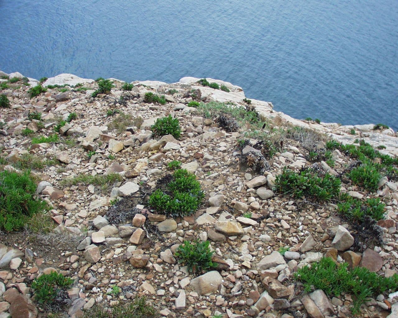 Krvavice 30