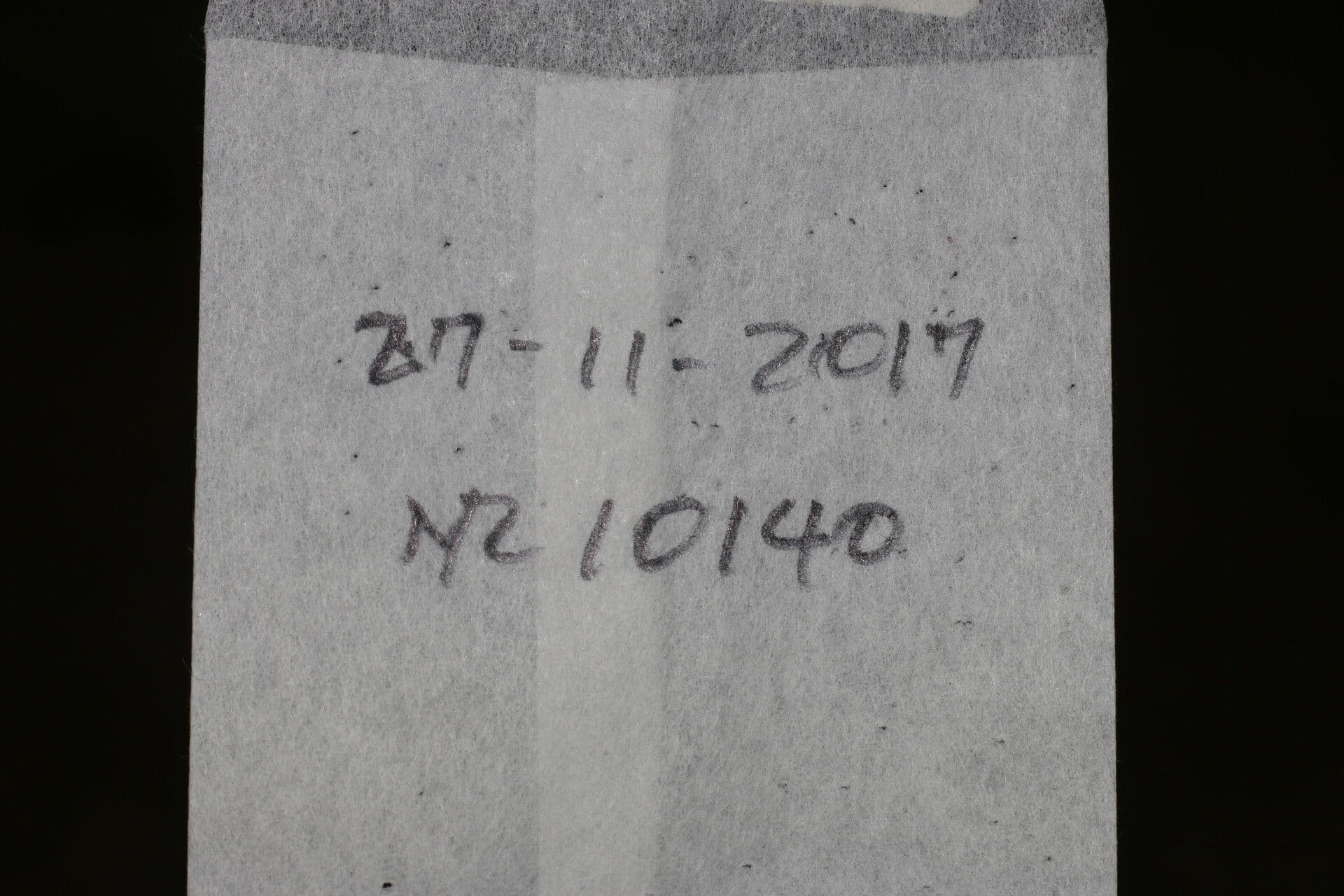 Plukenetia 10