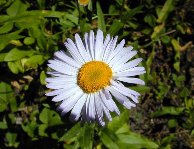 Cieľovka 3