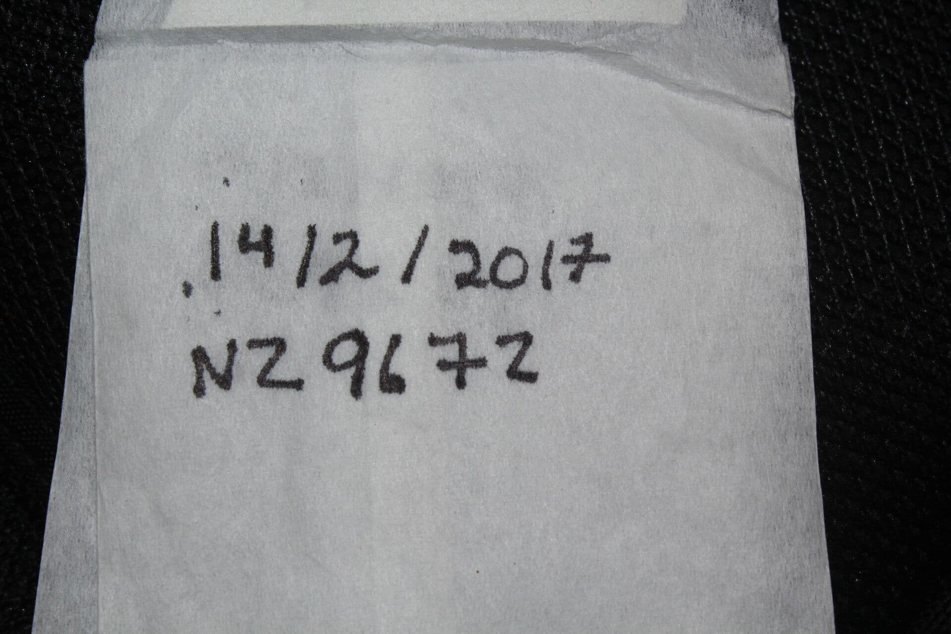 Hyptis 13