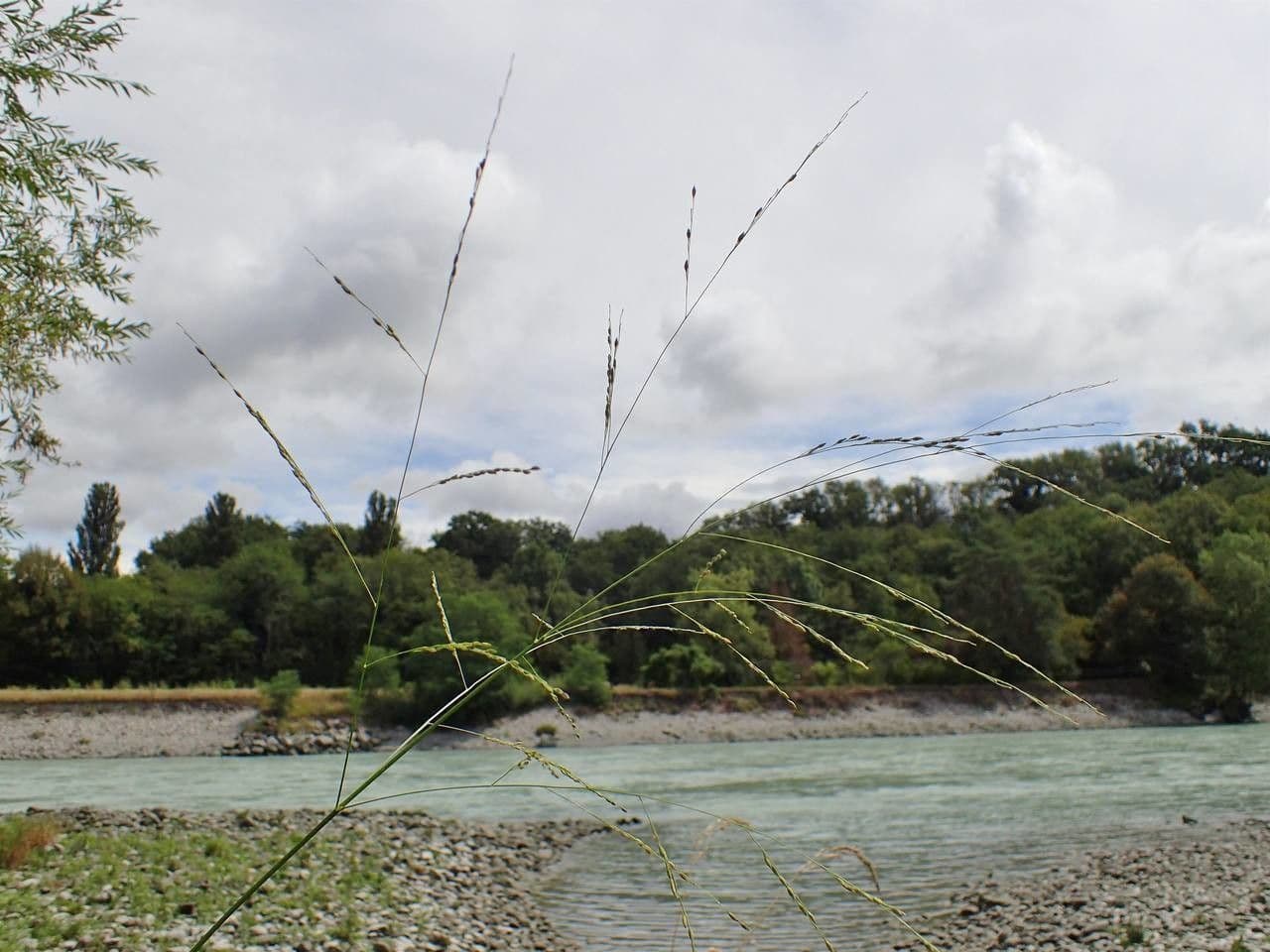 Panico autunnale 13