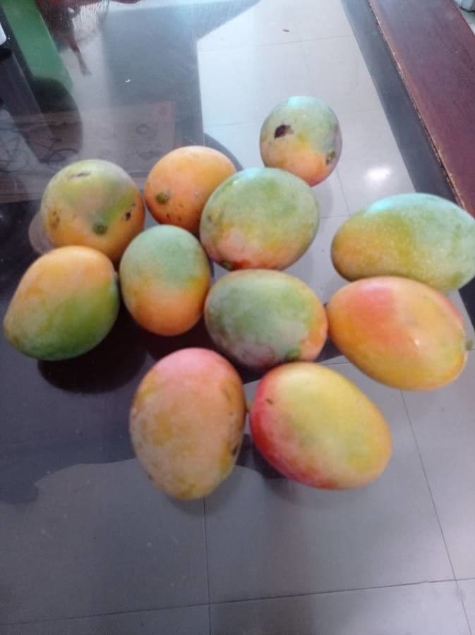 Mango