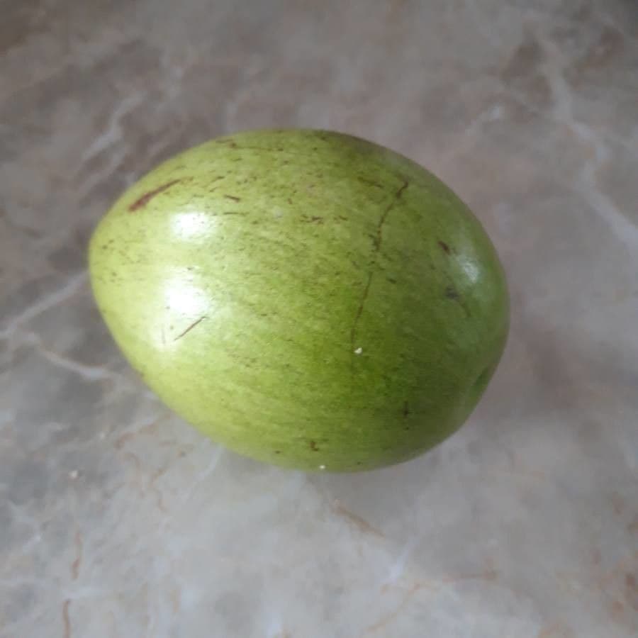 Mela stellare