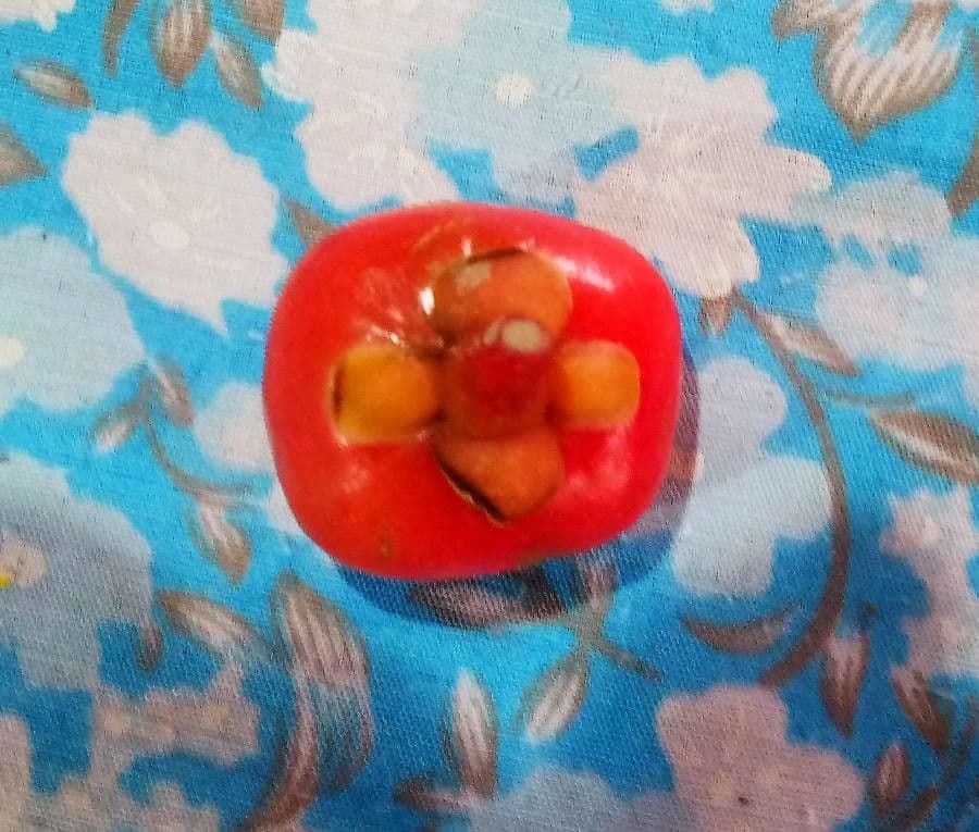 Garcinia 4