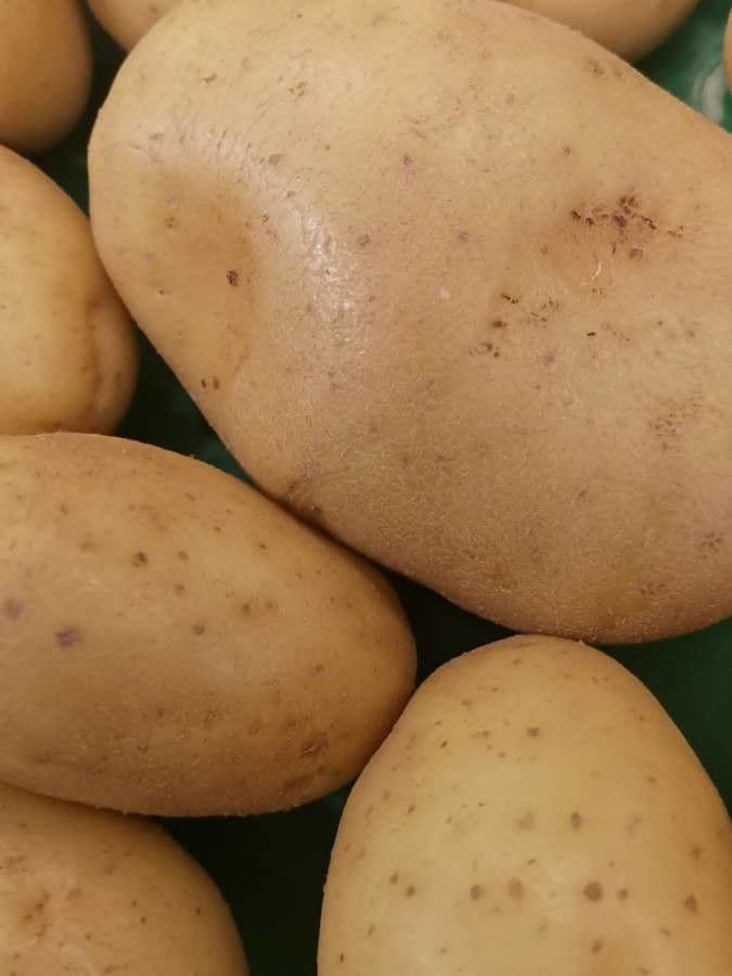 Patata 29