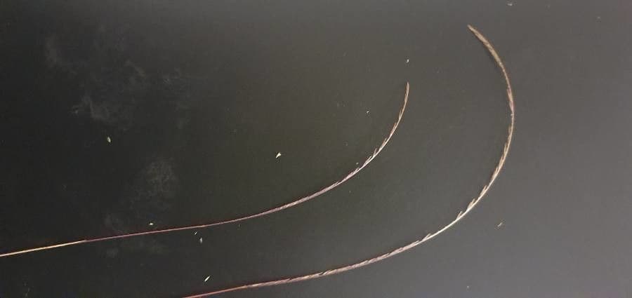 Microchloa
