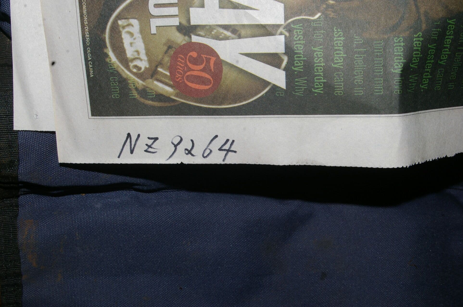 Ocotea 16