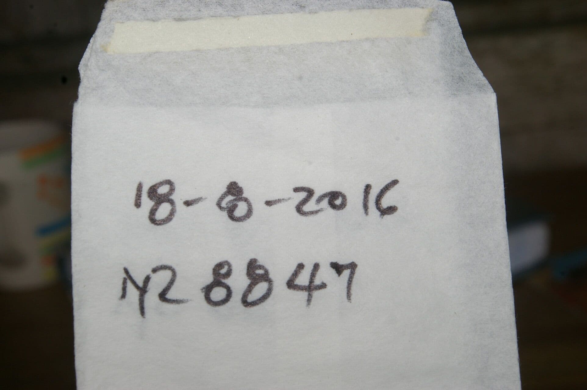 Hymenolobium mesoamericano 12