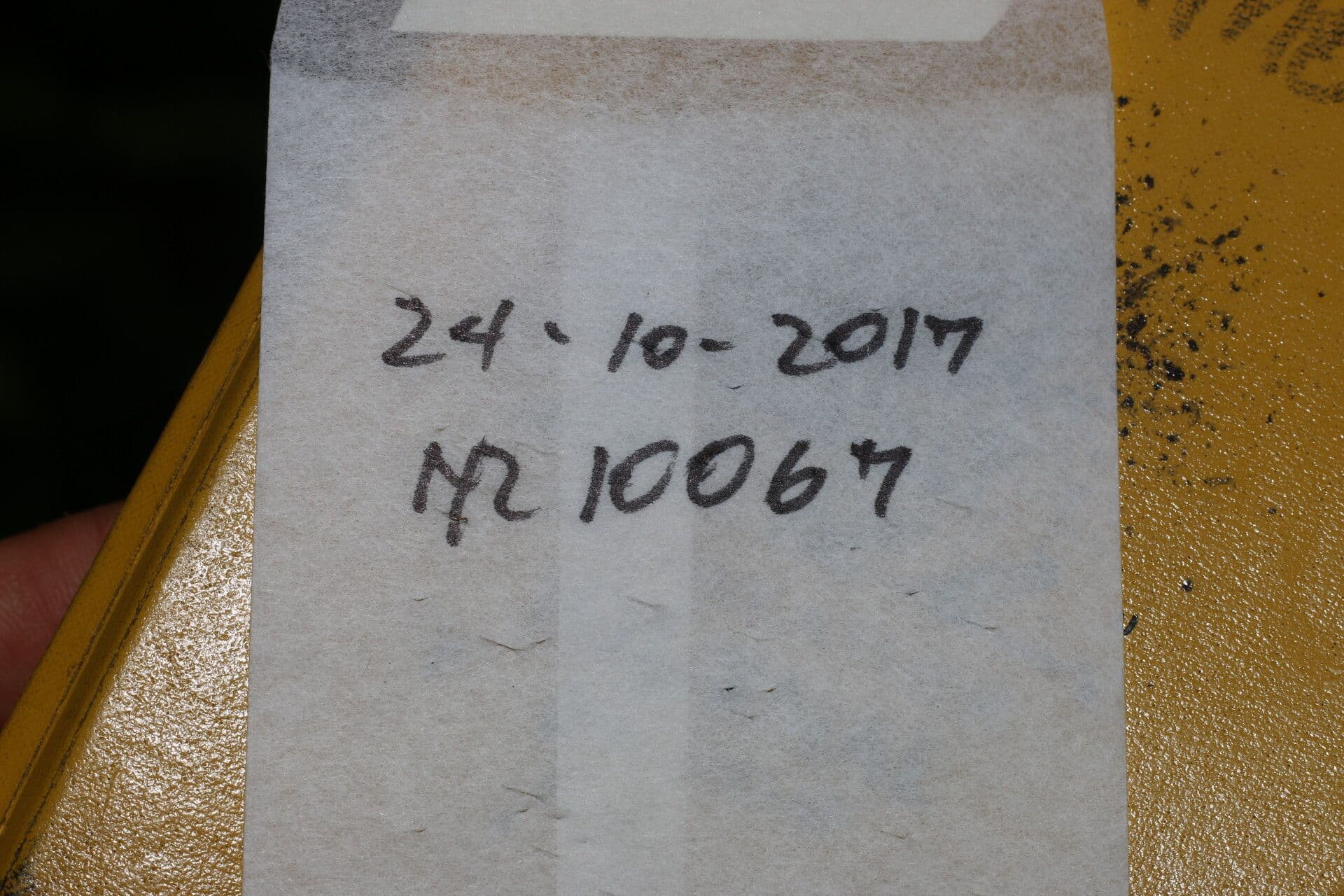 Coussarea 11
