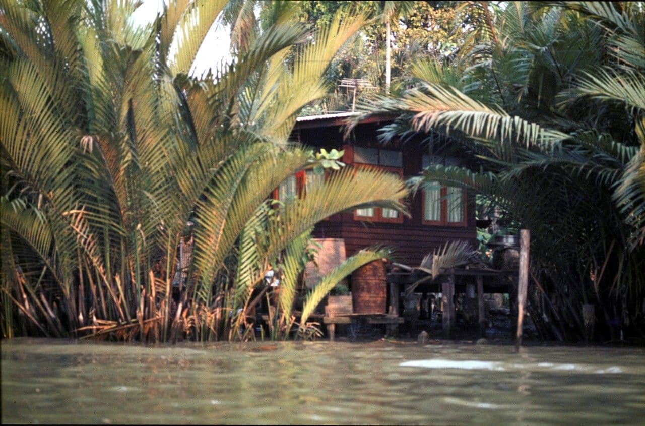 Nipa 9