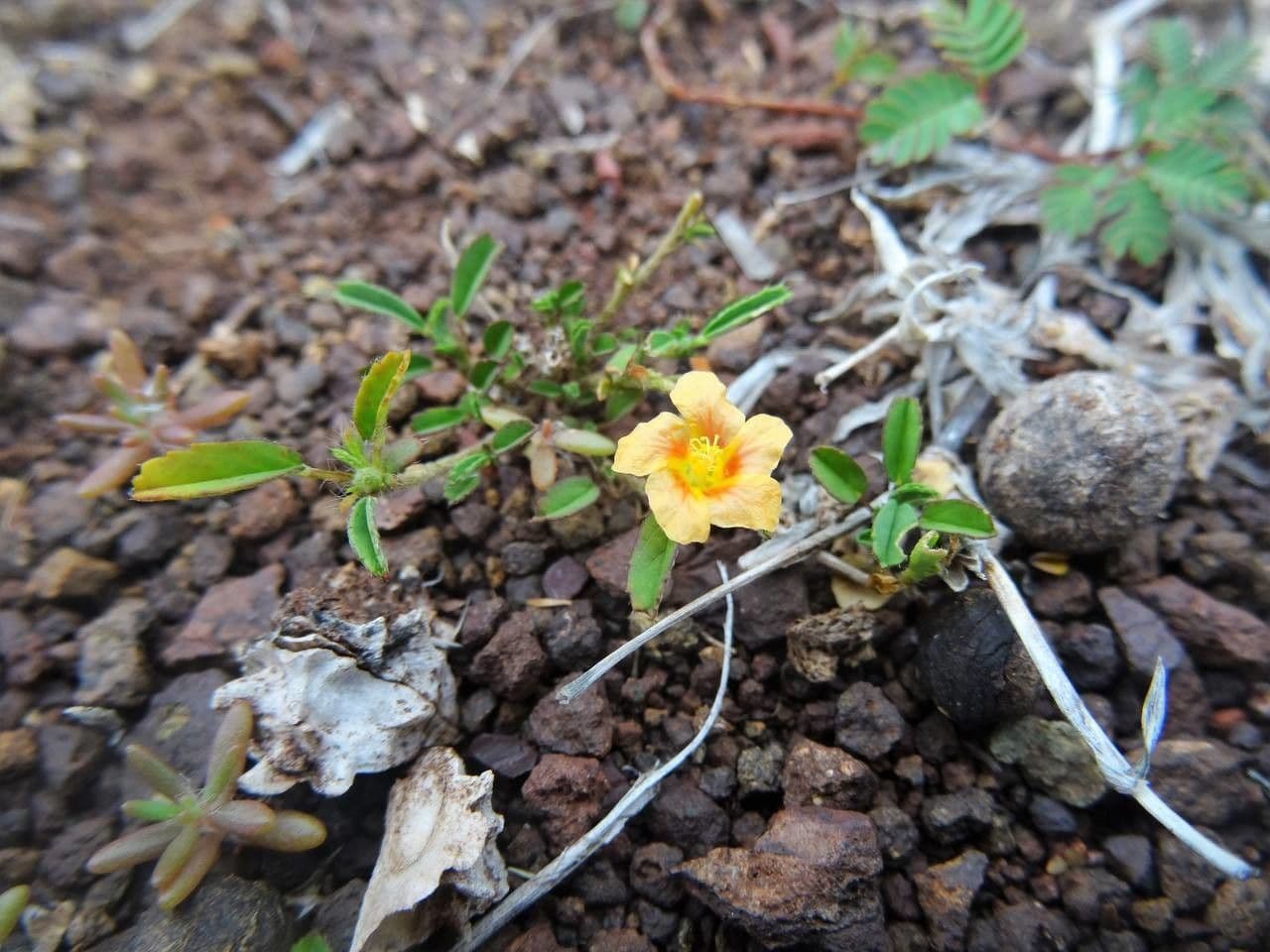 Sida 9