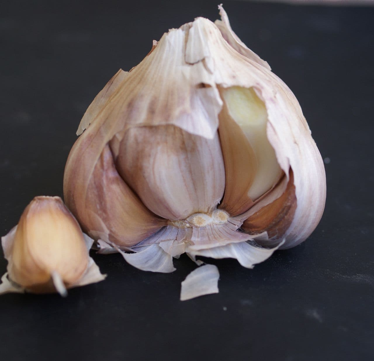 Aglio 28