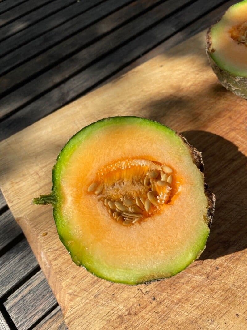 Melon 5