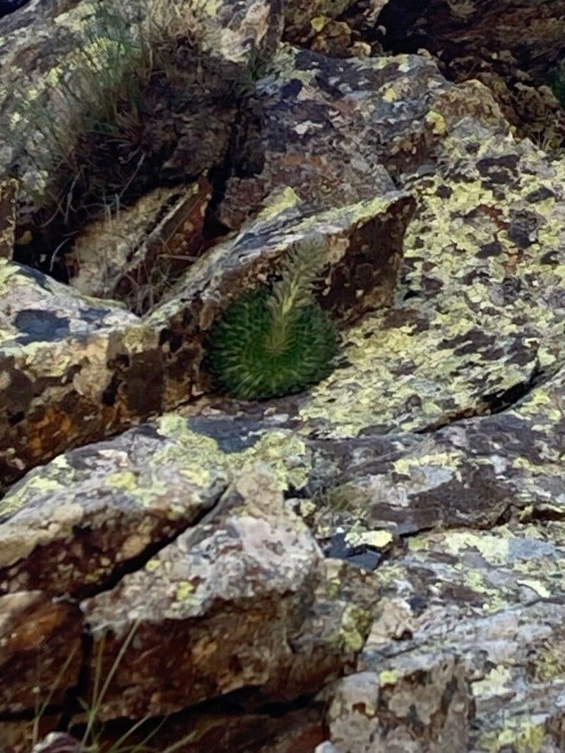 Łazienka 6