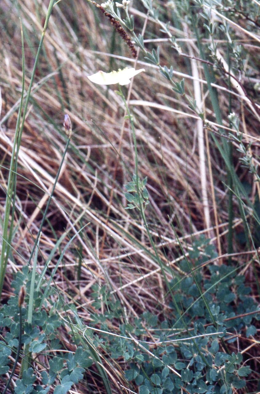 Doubravka 10