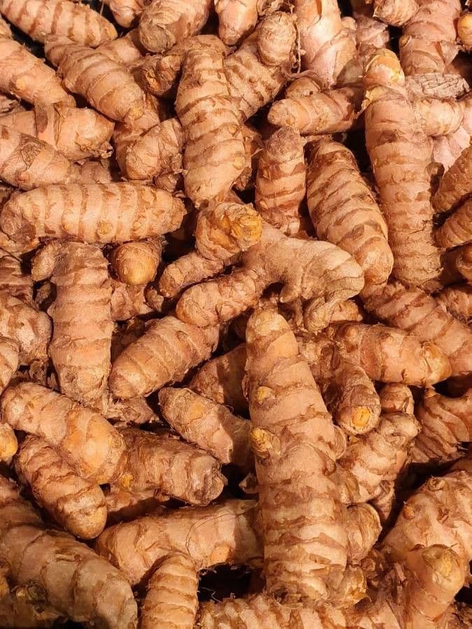 Curcuma 5