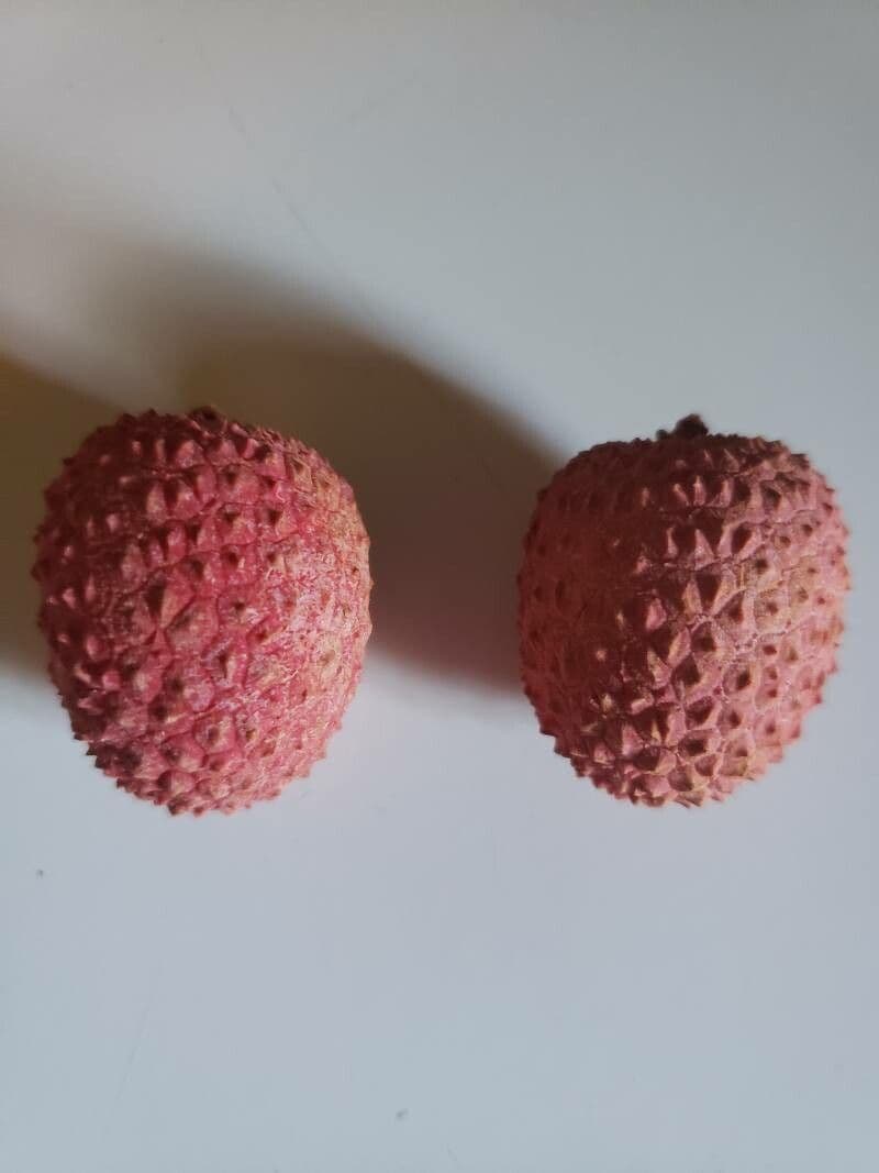 Litchi 3